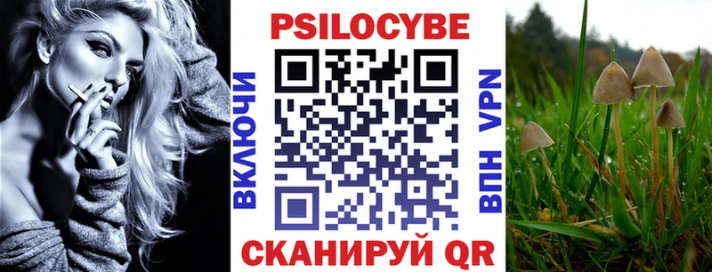 купить закладку  Ладушкин  Псилоцибиновые грибы GOLDEN TEACHER 